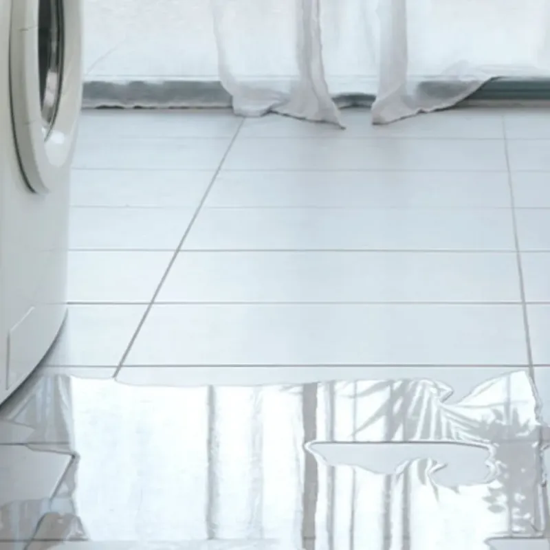 Appliance Leak Cleanup in Troy, OH