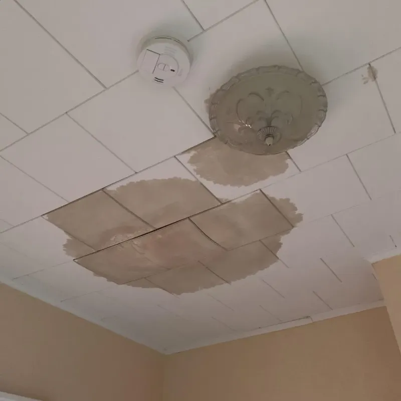 Ceiling Water Damage Repair in Troy, OH