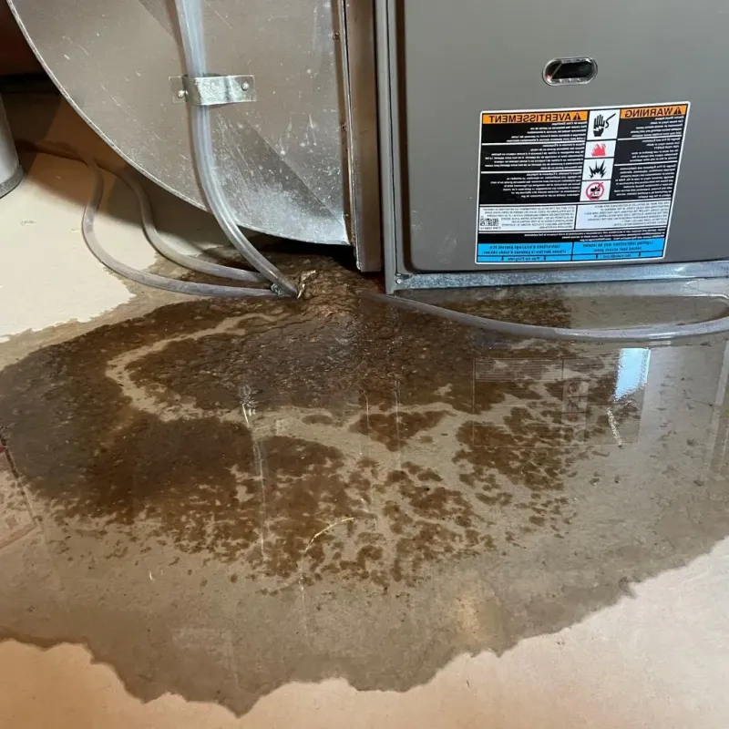 Pipe Burst and Leak Restoration in Troy, OH