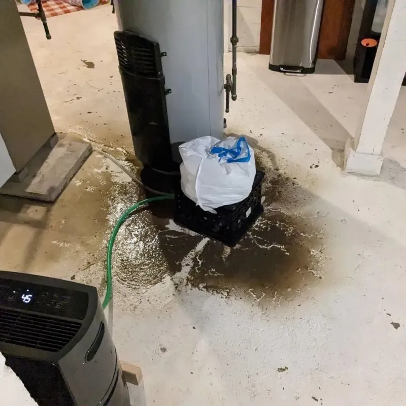 Sewage Backup Cleanup Service in Troy, OH